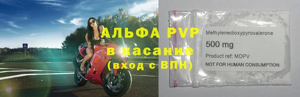 ПСИЛОЦИБИНОВЫЕ ГРИБЫ Магас