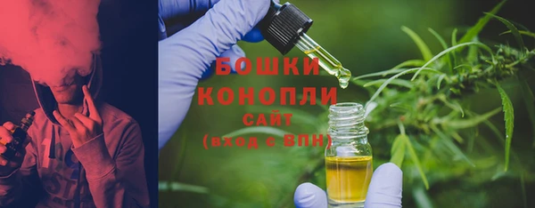 ПСИЛОЦИБИНОВЫЕ ГРИБЫ Магас