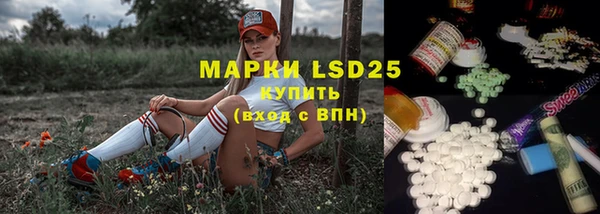 ПСИЛОЦИБИНОВЫЕ ГРИБЫ Магас